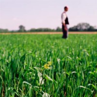 La lutte biologique